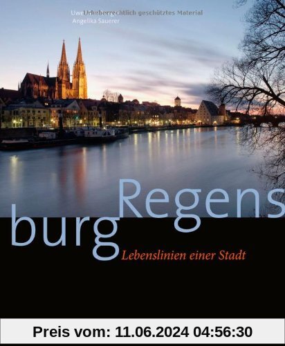 Regensburg: Lebenslinien einer Stadt